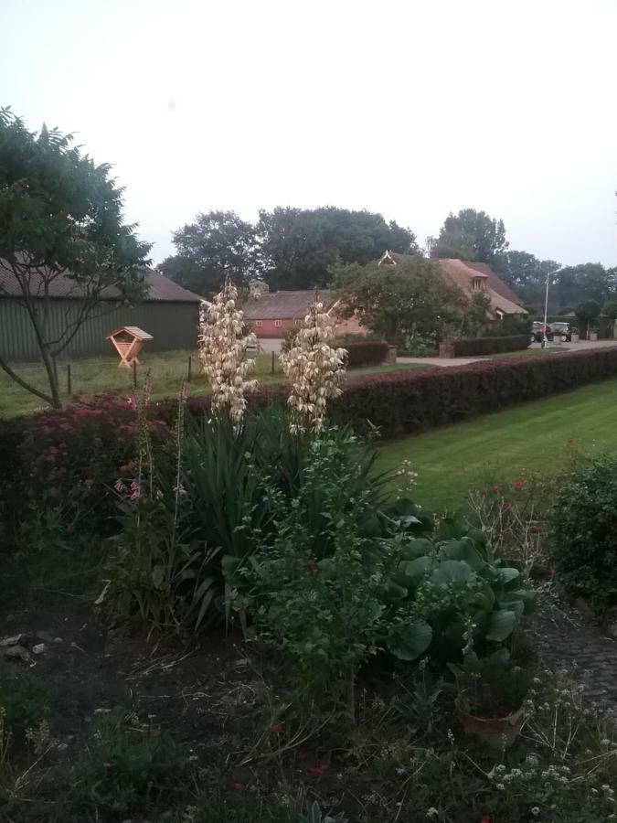 B&B An De Kraloerweg Ruinen 外观 照片
